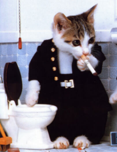 un chat qui fume!!!